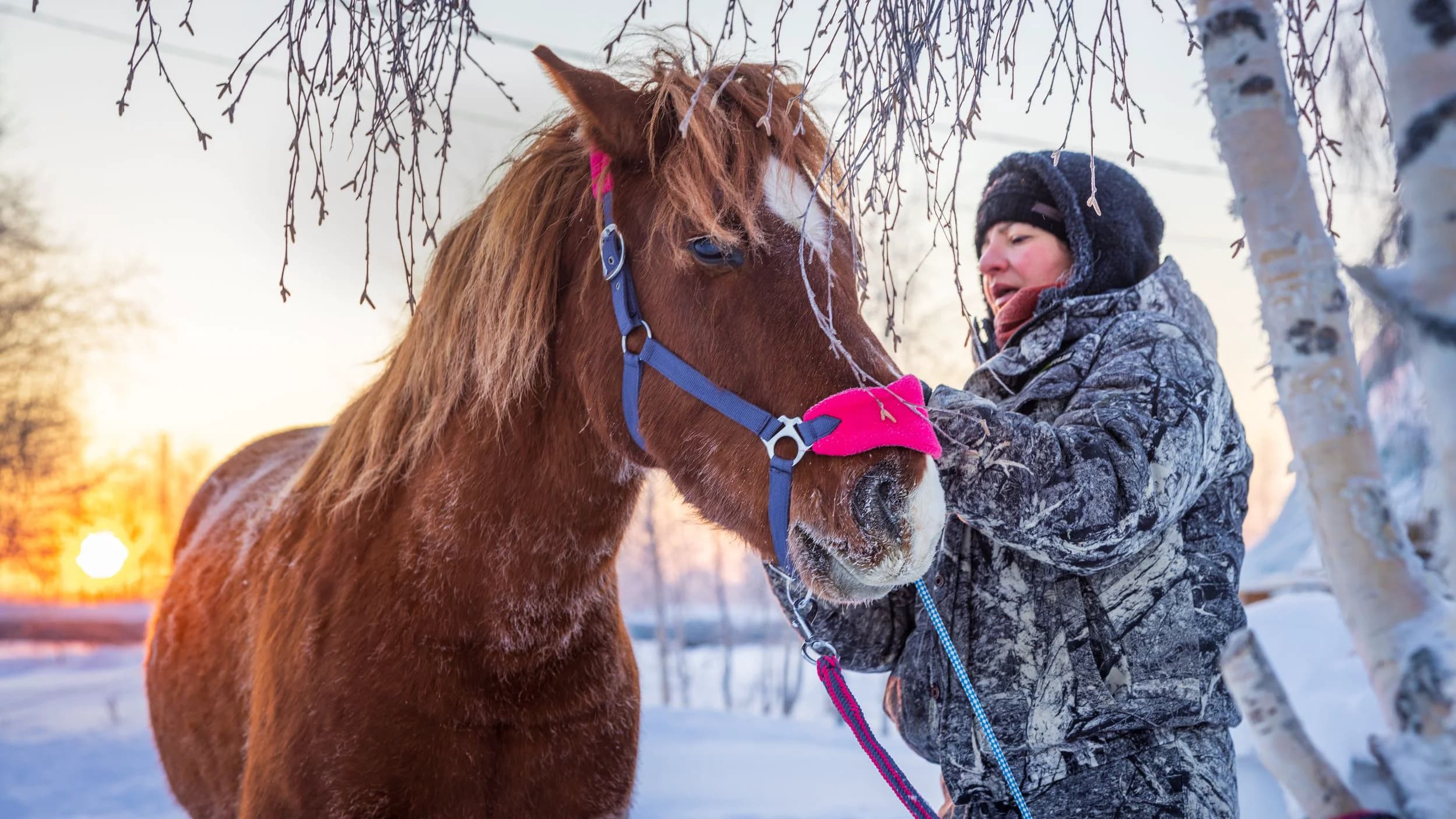 Федерация иппотерапии выиграла грант губернатора