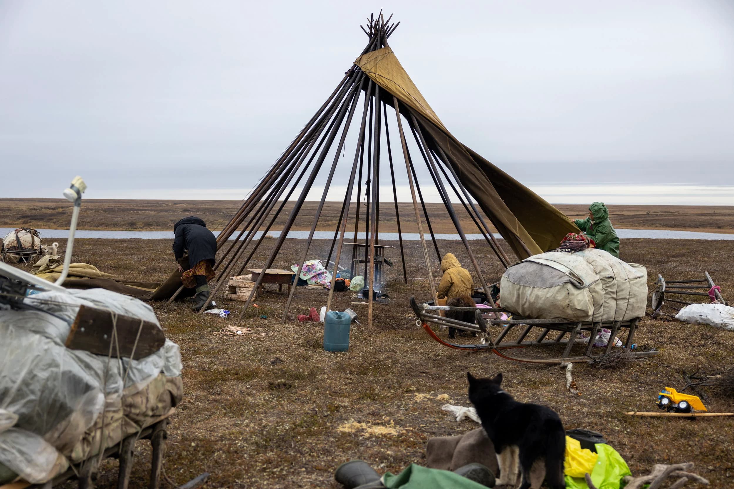 Сборка чума в ямальской тундре