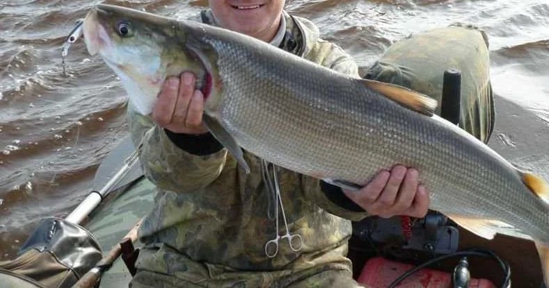 Якутский муксун