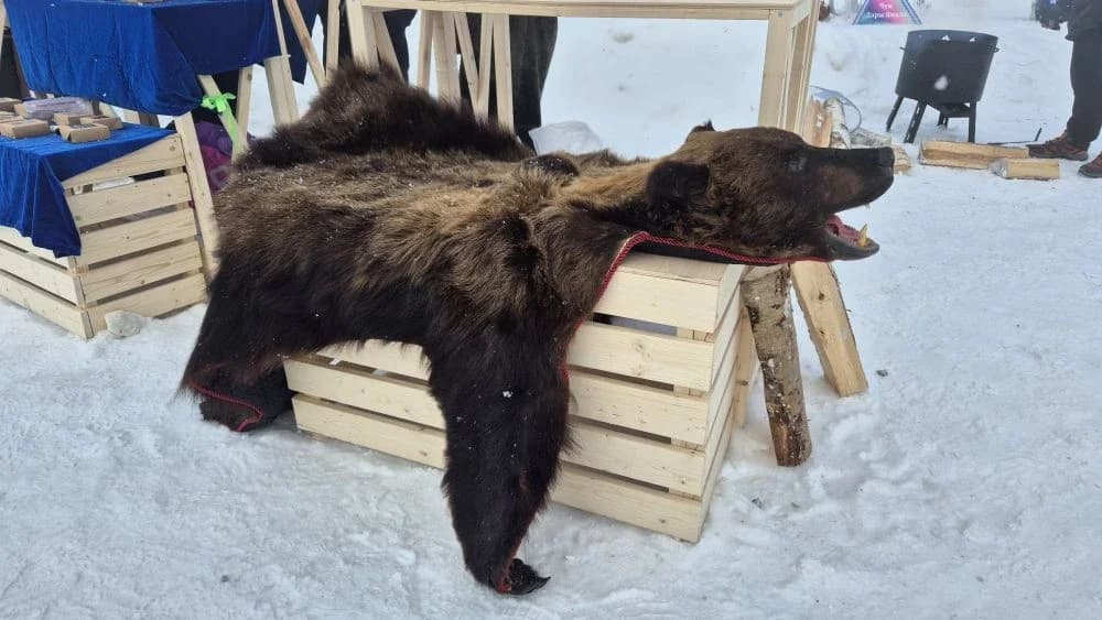 Шкура медведя на ярмарке