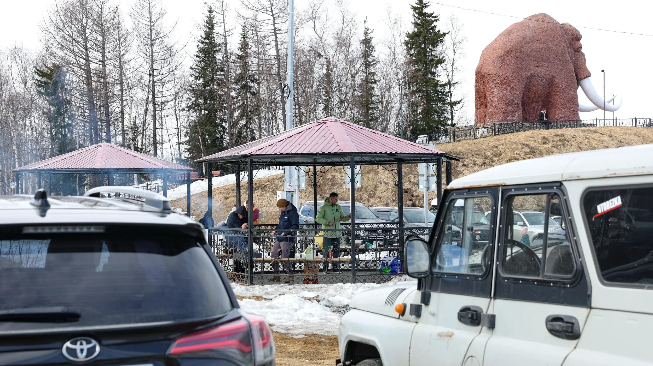Приготовление шашлыков на специальной площадке