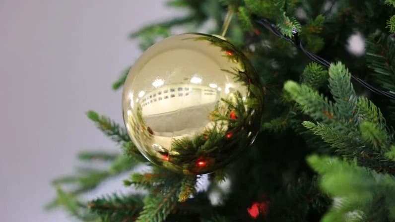 Глава Салехарда исполнил желание школьника из Надыма