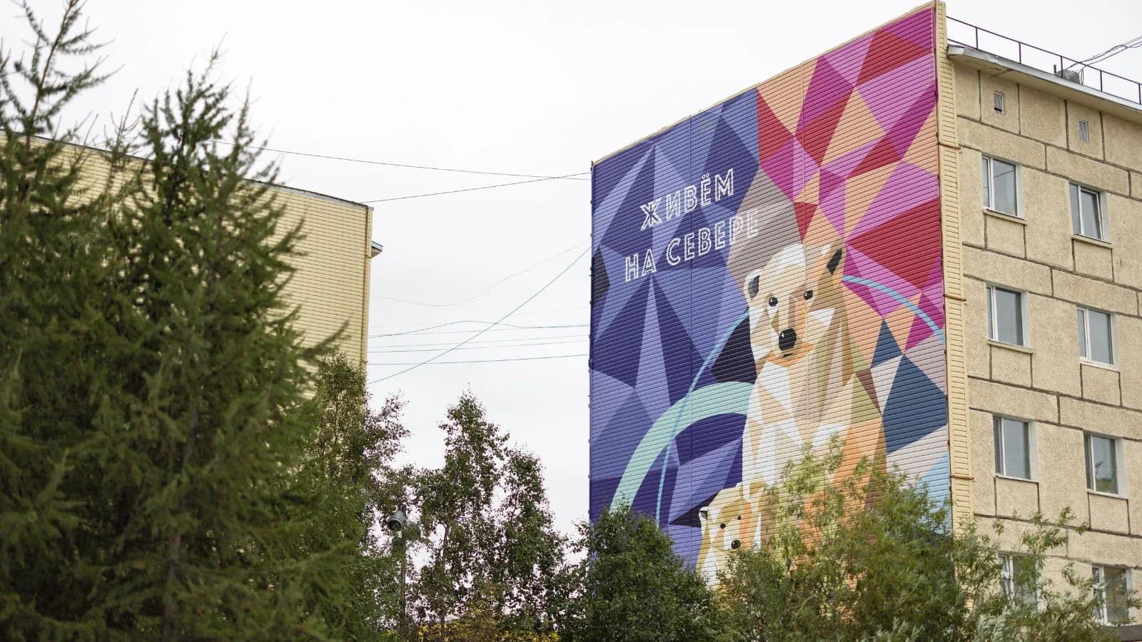 Скалолазание, женское здоровье и ямальское долголетие: в Салехарде выбирают лучшие инициативы