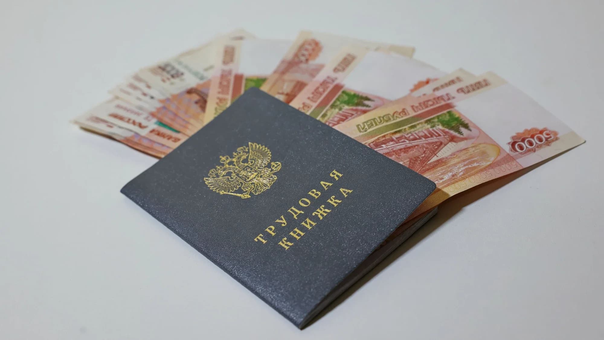 На Ямале в феврале выросла активность соискателей