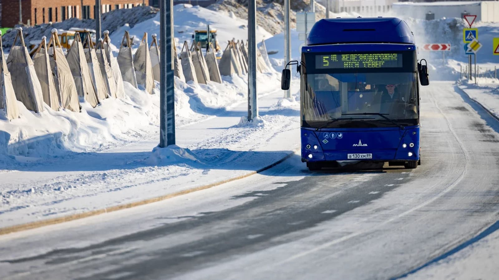 В Салехарде гостей Дня оленевода будут возить бесплатно