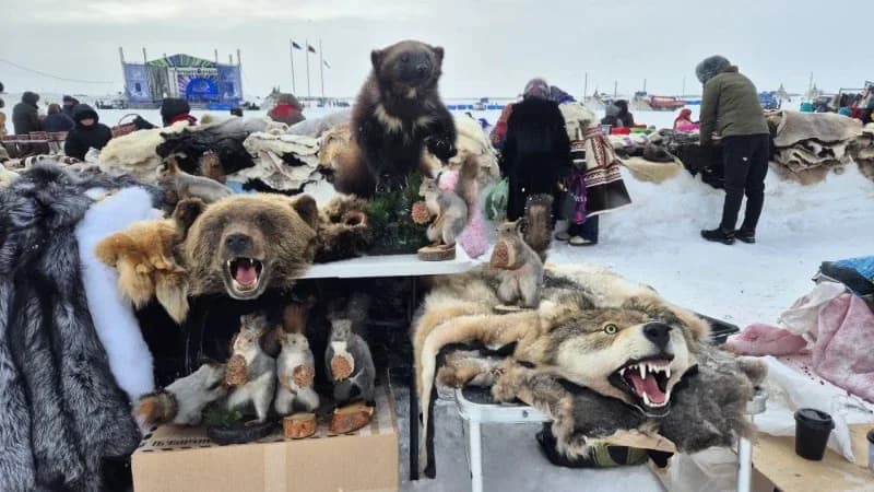 Малицы, ягушки и шкура медведя: в Салехарде началось празднование Дня оленевода