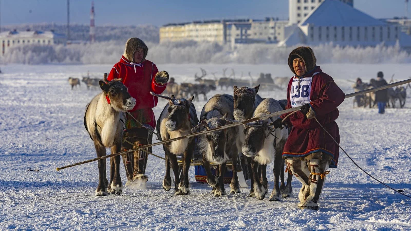 Приуральцы победили в гонках на Дне оленевода в столице Ямала