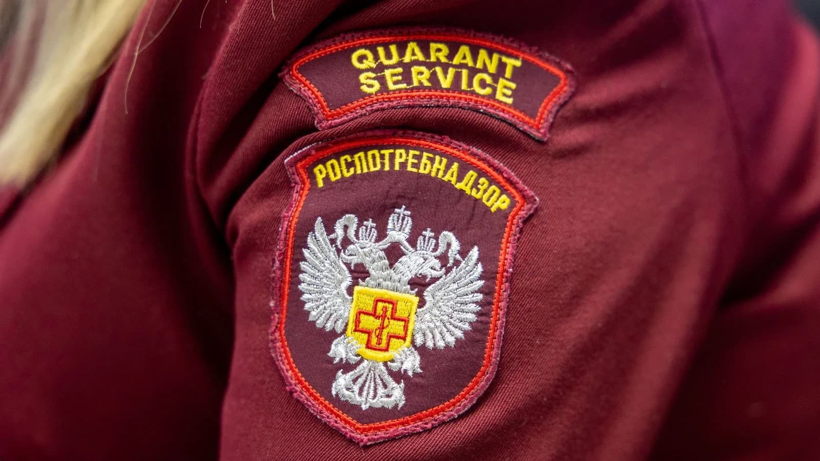 В Салехарде обнаружили патогенные бактерии в кафе домашней кулинарии