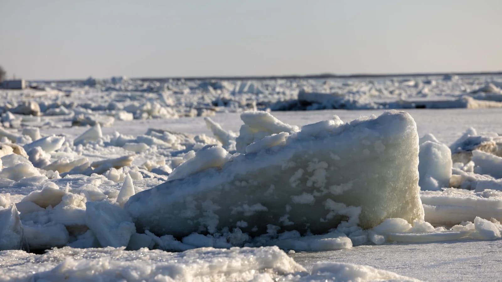 В департаменте гражданской защиты ЯНАО уточнили даты ледохода на Оби