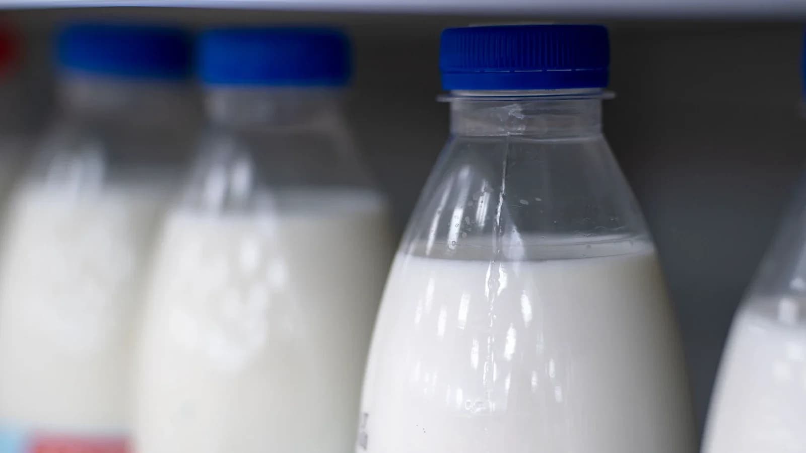 В Салехарде продавали молочные продукты с истекшим сроком годности