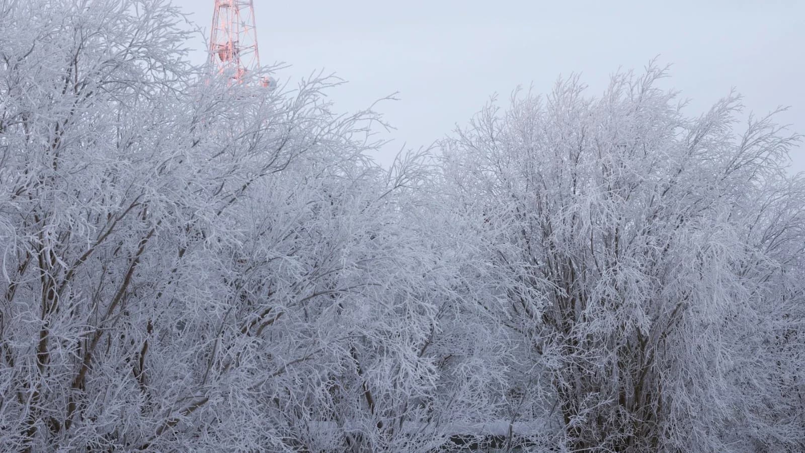 Власти ЯНАО передадут в частные руки телевышку в Салехарде