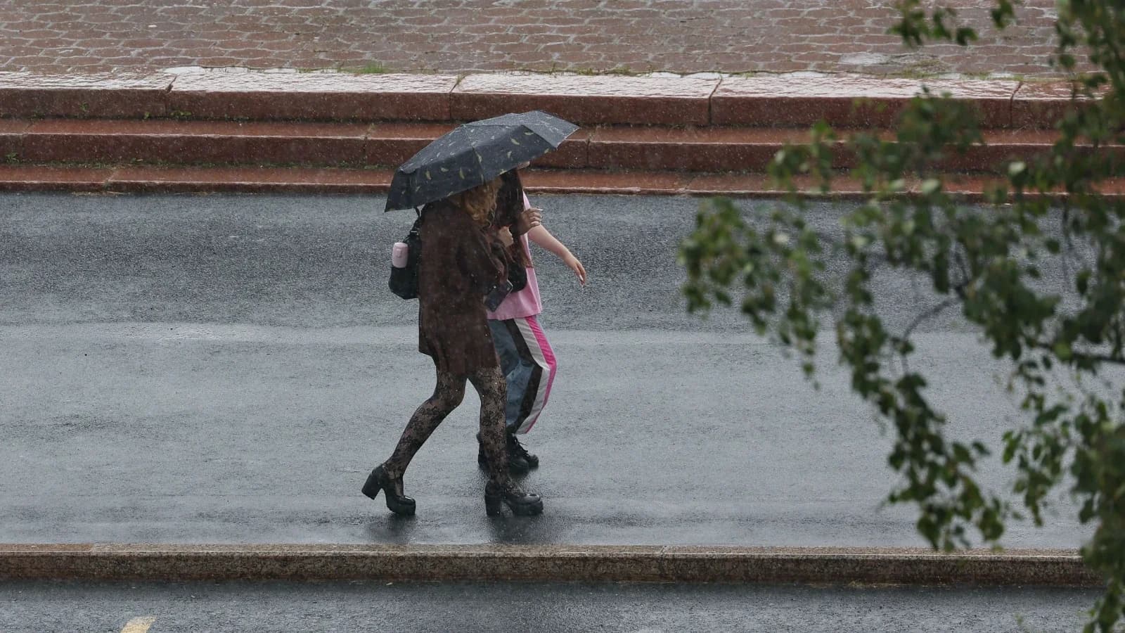 Теплое и дождливое лето ждет жителей Салехарда