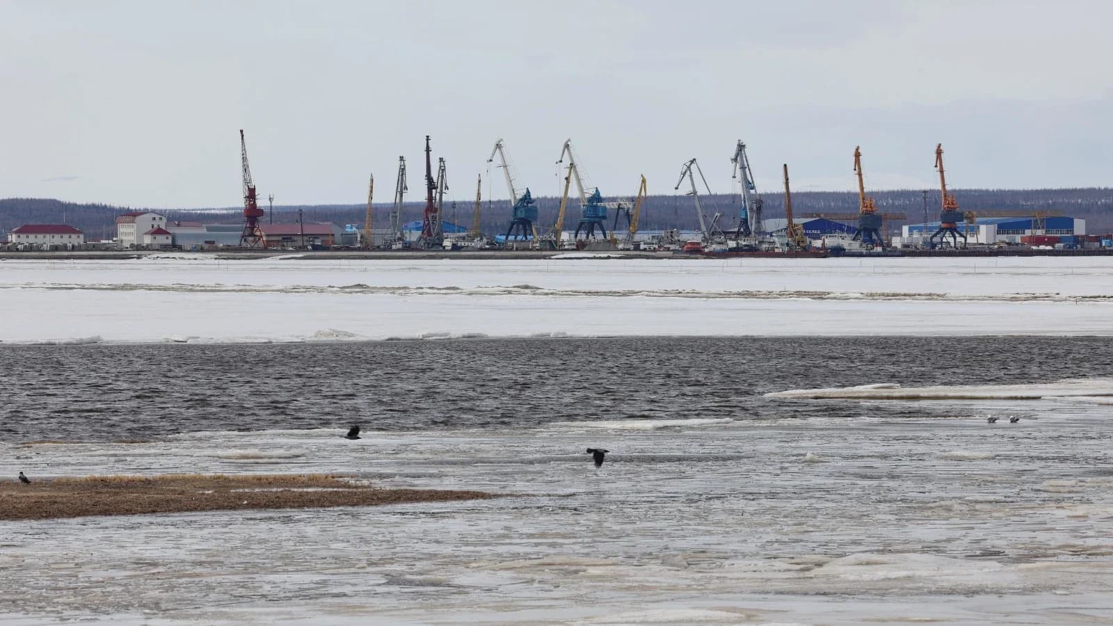 Подвижки льда и закраины появились на Оби у берегов Салехарда. Фото