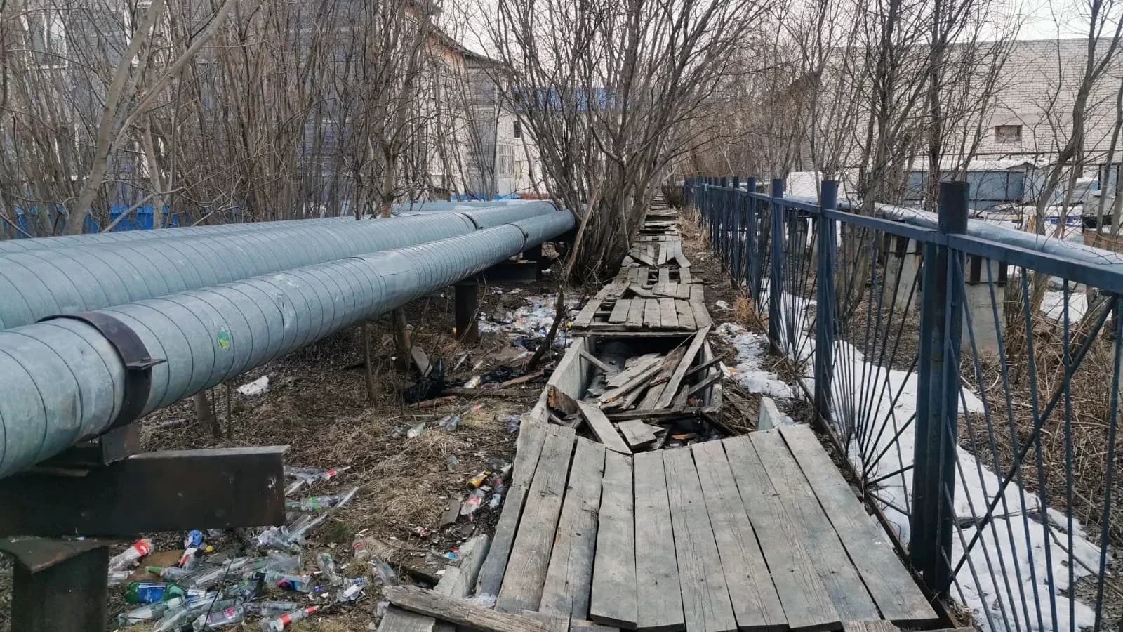 В Салехарде в разы уменьшилось количество свалок