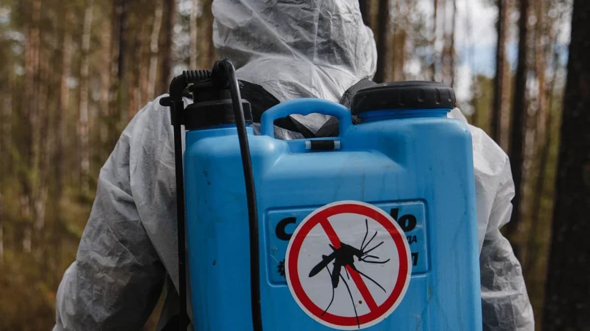 Гнуса не будет: в Салехарде прошла дезинсекция