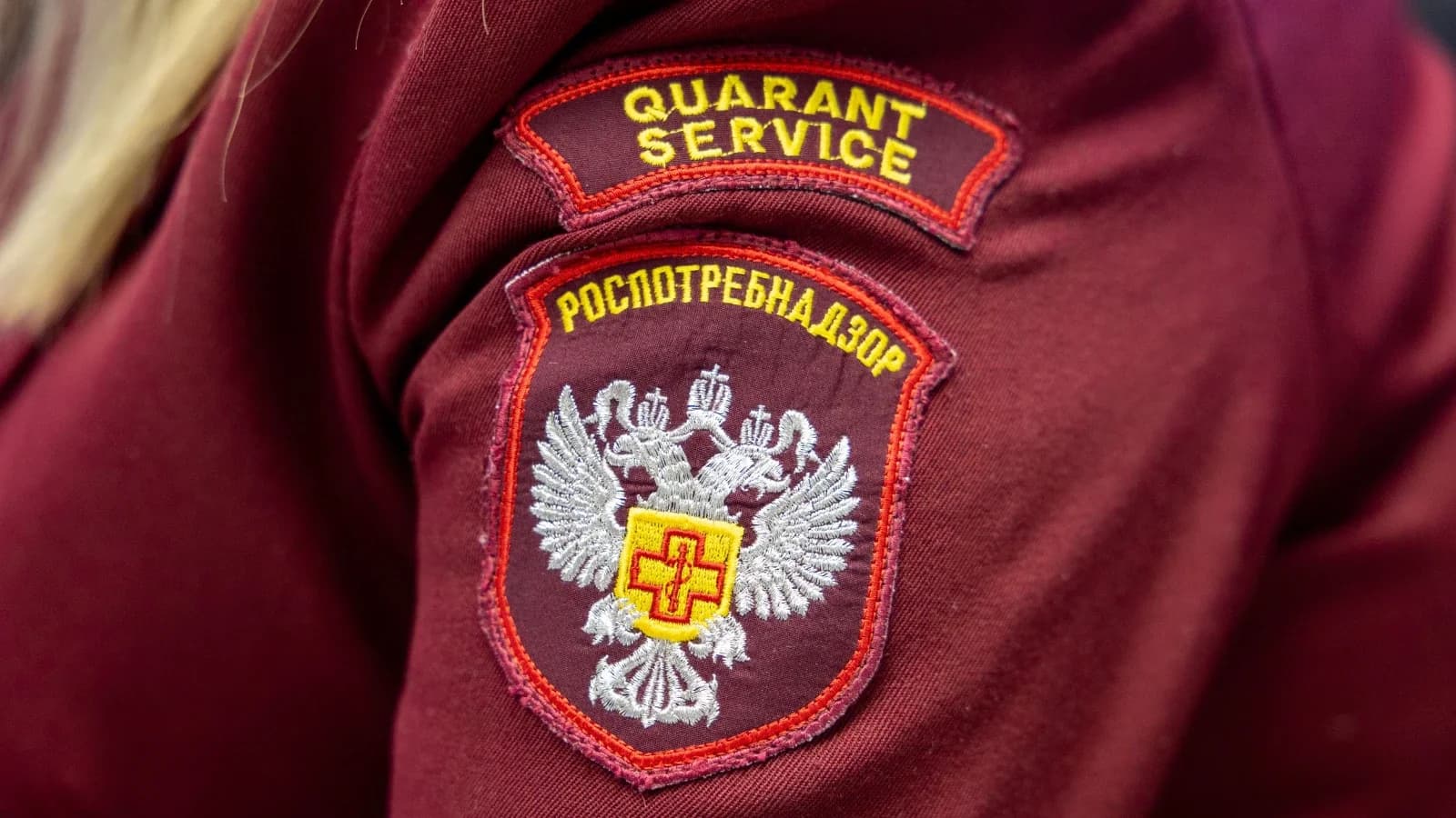 Грипп и ОРВИ надвигаются на Ямал: в Салехарде Роспотребнадзор открыл «горячую линию»
